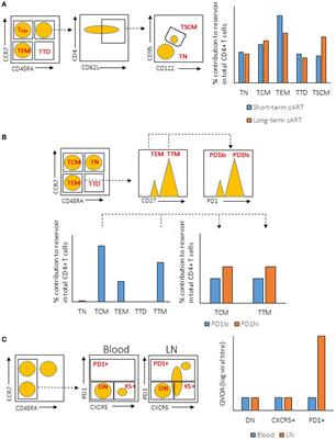 Human Immunodeficiency Virus Playing Hide-and-Seek: Understanding the TFH Cell Reservoir and Proposing Strategies to Overcome the Follicle Sanctuary